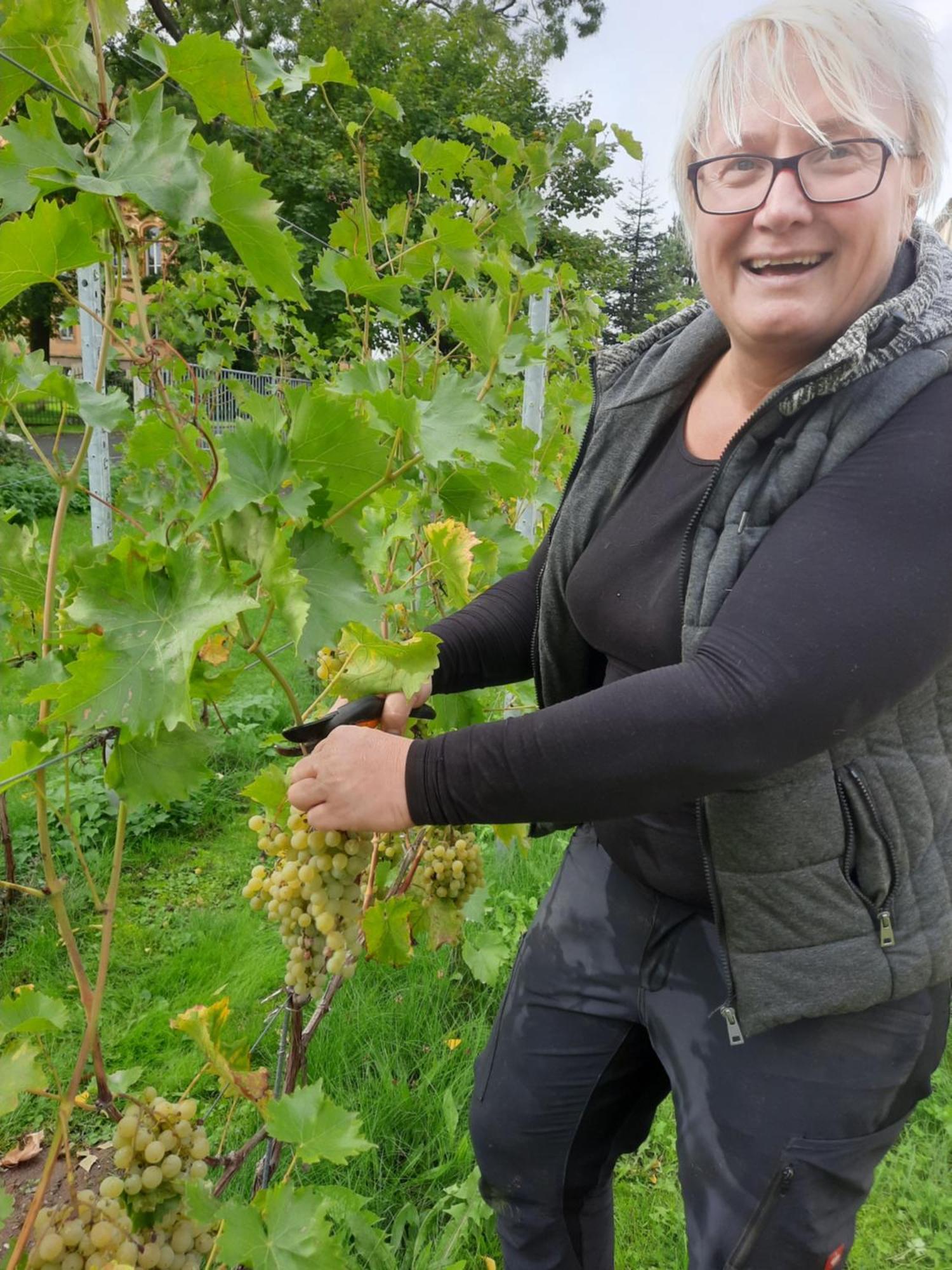 Ferienwohnung Weingut Lahmer August Kretzschau ภายนอก รูปภาพ